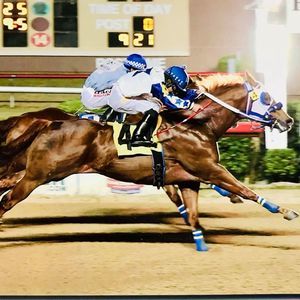 Meet your Posher, Alejandro